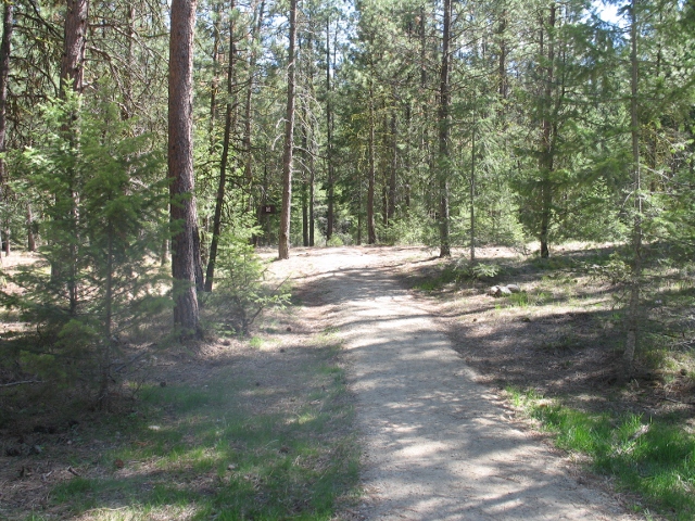 picture showing Bass Creek Nature Trail: The trail is made of compacted gravel, firm and stable surfacing, and the narrowest point is 32